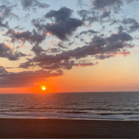 Meet your Posher, Lala - Picture 1 of 1